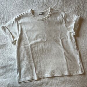 AYR the practice tee